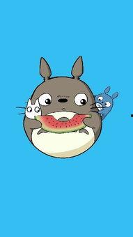 吃瓜娱乐龙猫,吃瓜娱乐中的治愈力量